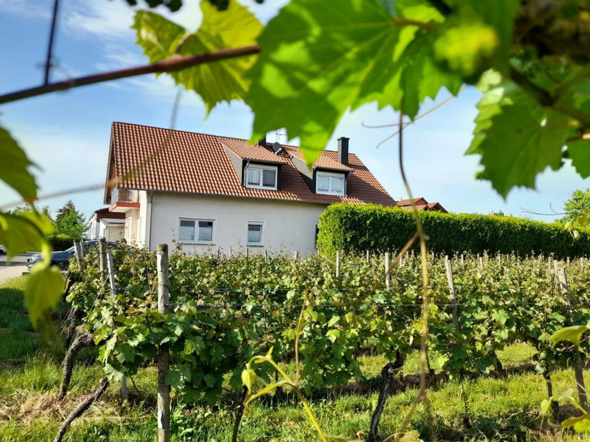 Ferienwohnung Am Schoosberg, Niederkirchen Bei Deidesheim Экстерьер фото